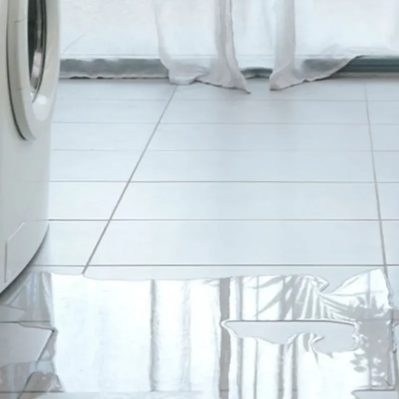 Appliance Leak Cleanup in Maverick County, TX